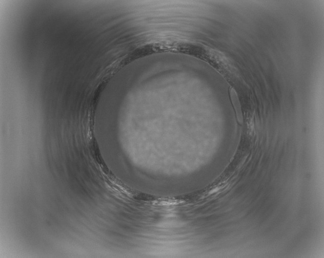 X0000075811060200609291339