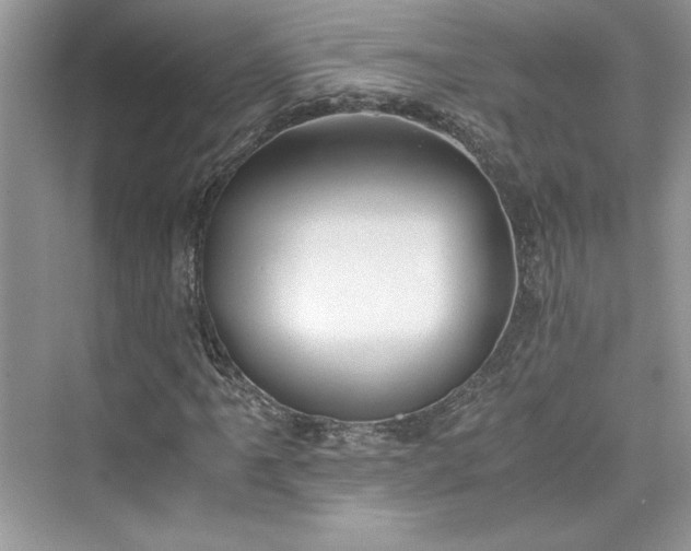 X0000075811061200609291339