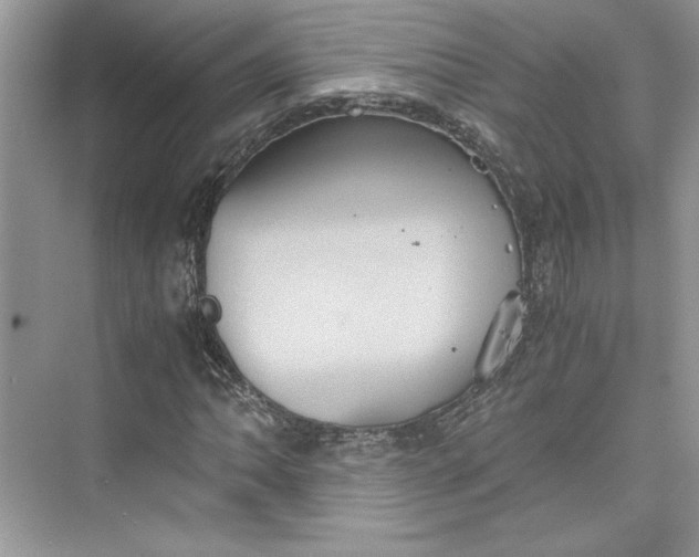 X0000075811062200609291339