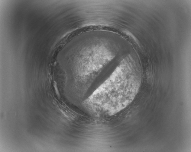 X0000075811064200609291339