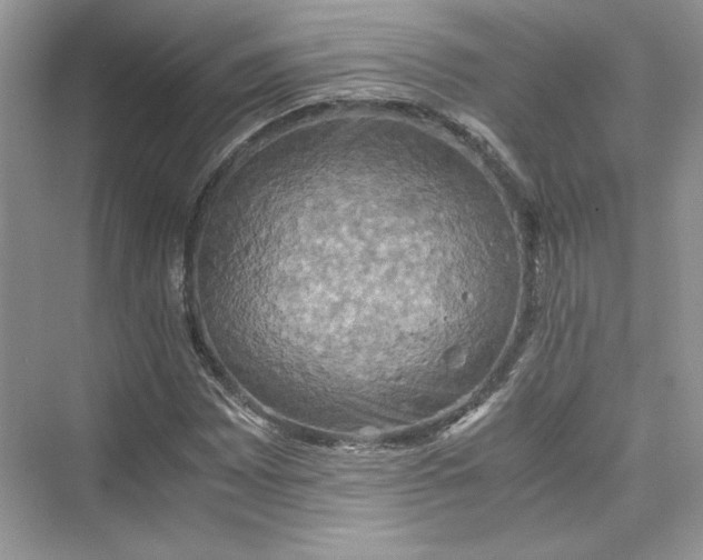 X0000075811065200609291339