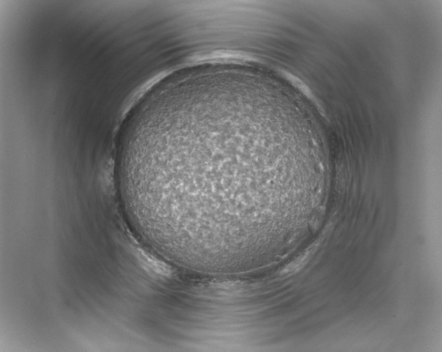 X0000075811066200609291339