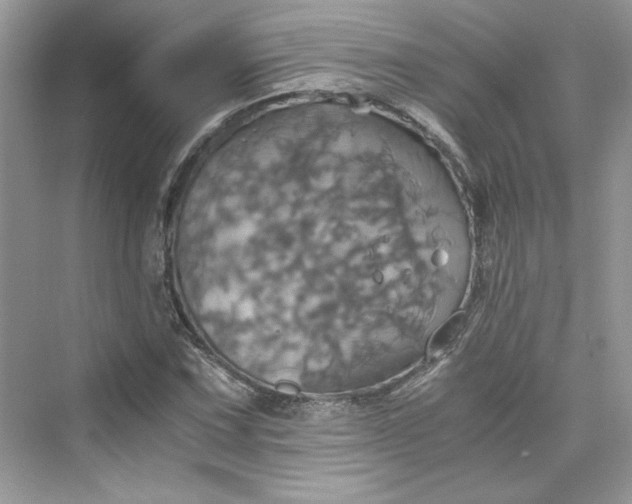 X0000075811067200609291339