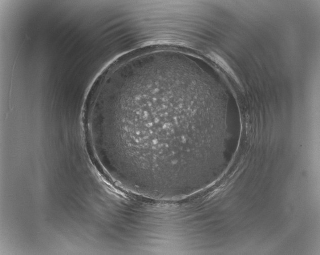 X0000075811068200609291339