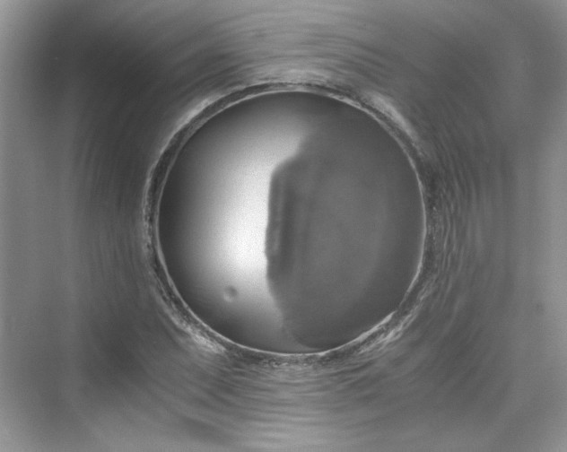 X0000075811071200609291339