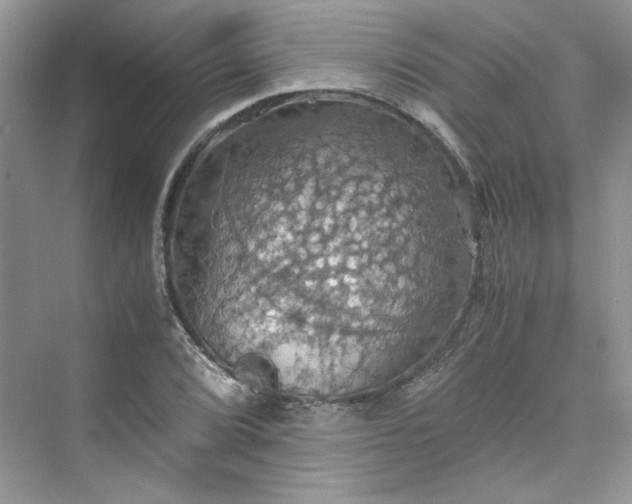 X0000075811072200609291339