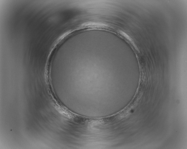 X0000075811074200609291339