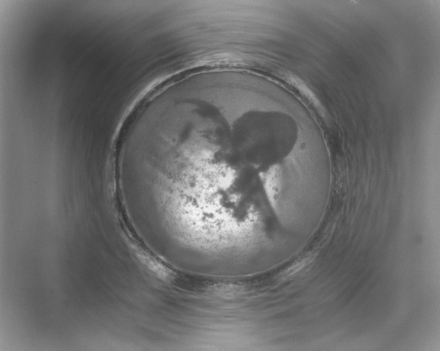 X0000075811075200609291339