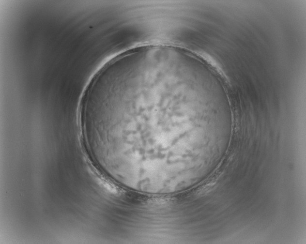 X0000075811078200609291339