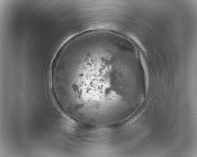 X0000075811079200609291339