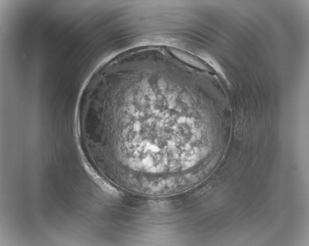 X0000075811080200609291339