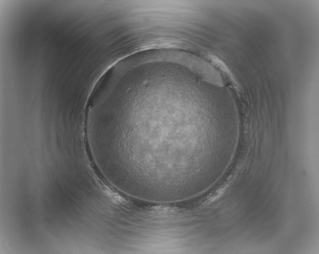 X0000075811081200609291339