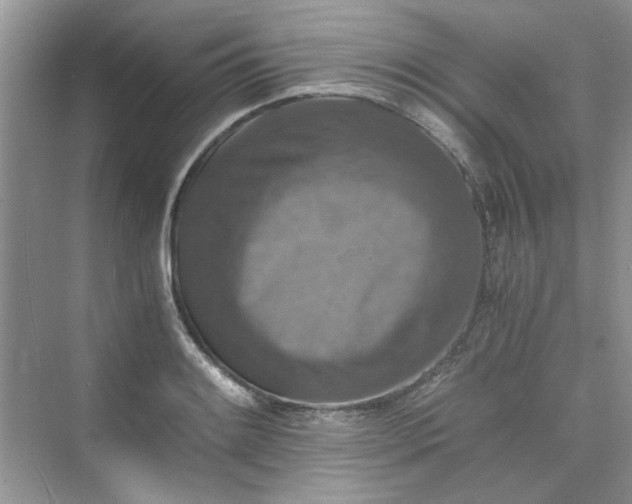 X0000075811084200609291339