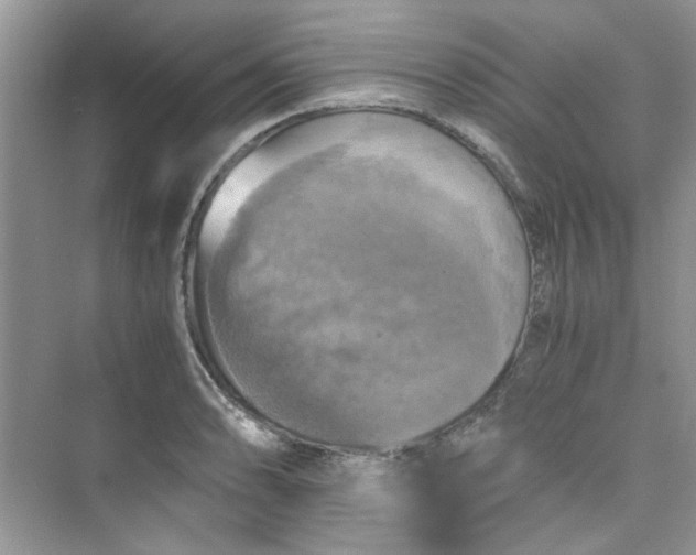 X0000075811086200609291339