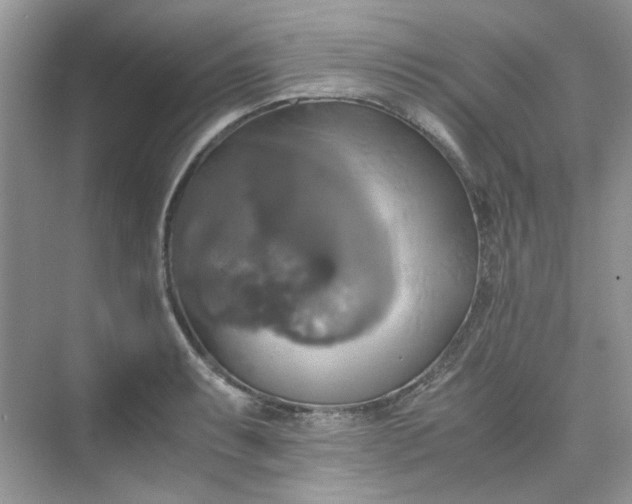 X0000075811087200609291339