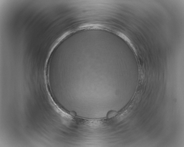 X0000075811090200609291339