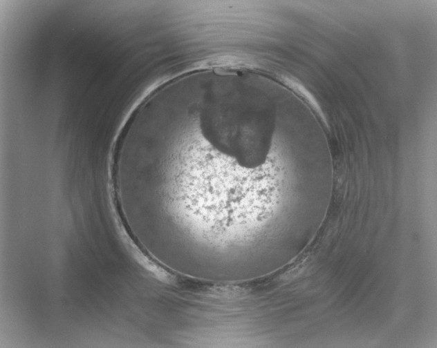 X0000075811091200609291339