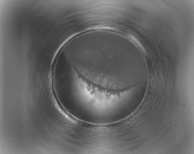 X0000075811092200609291339