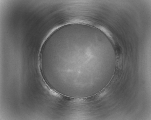 X0000075811094200609291339