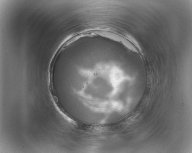 X0000075811095200609291339