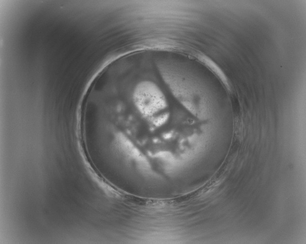 X0000075811099200609291338