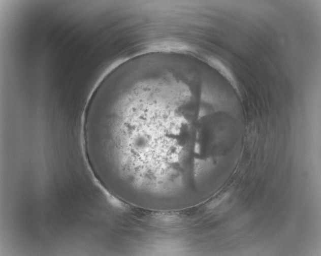 X0000075811103200609291338