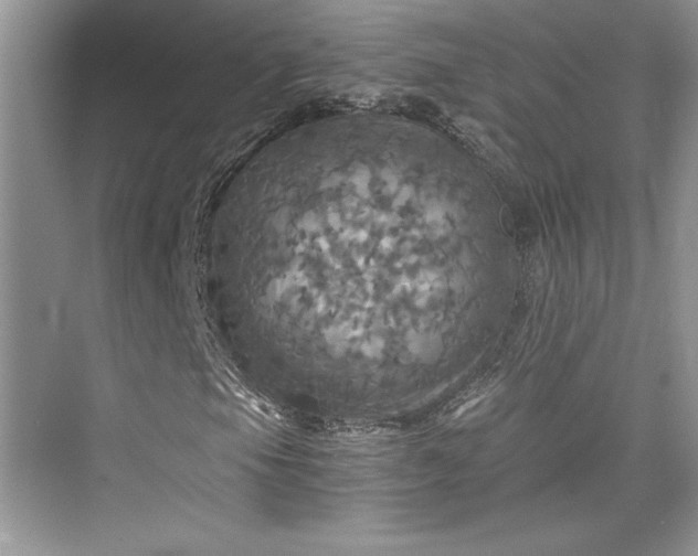 X0000075811105200609291338