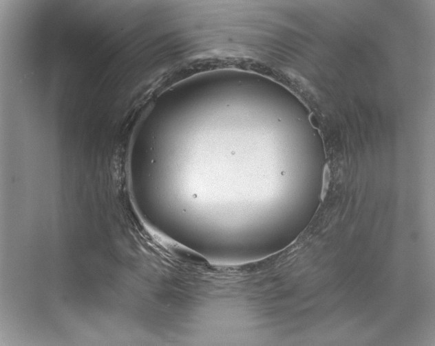 X0000075811110200609291338