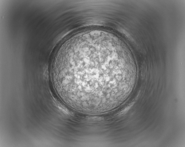 X0000075811113200609291338