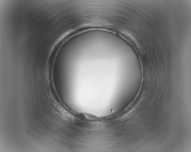 X0000075811114200609291338