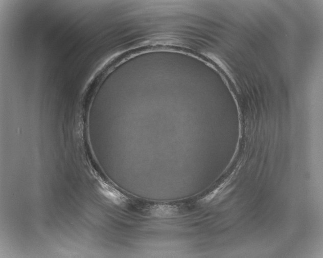 X0000075811115200609291338