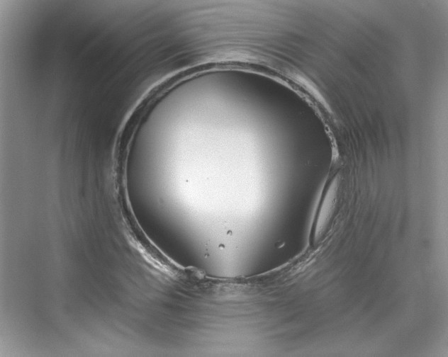 X0000075811116200609291338