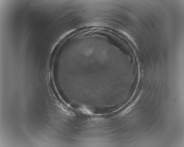 X0000075811117200609291338