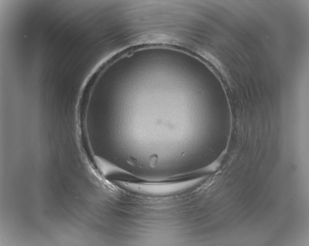 X0000075811120200609291338