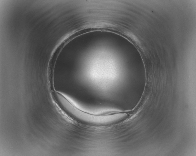 X0000075811122200609291338