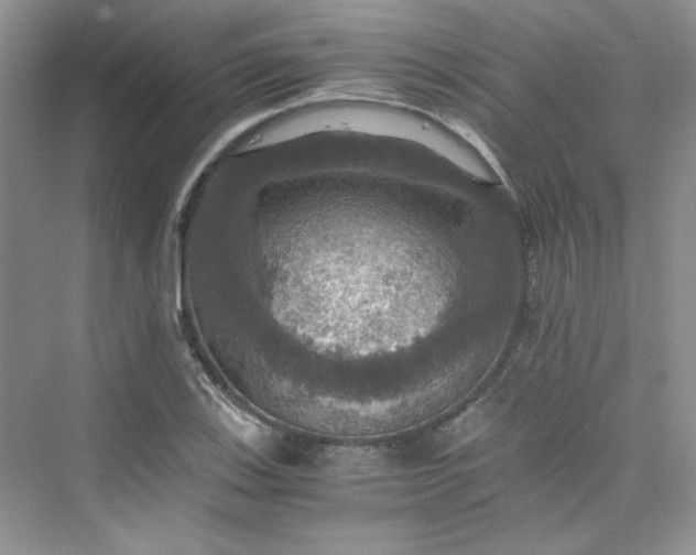 X0000075811123200609291338