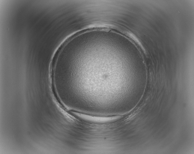 X0000075811124200609291338