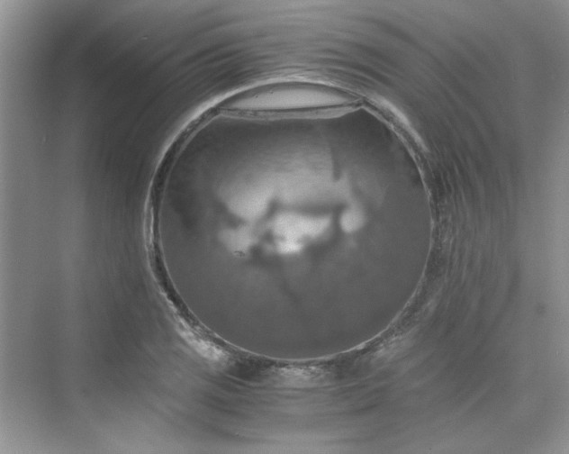 X0000075811125200609291338