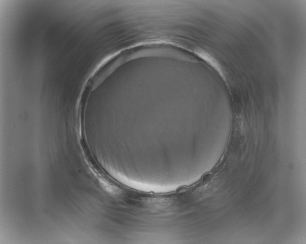 X0000075811127200609291338