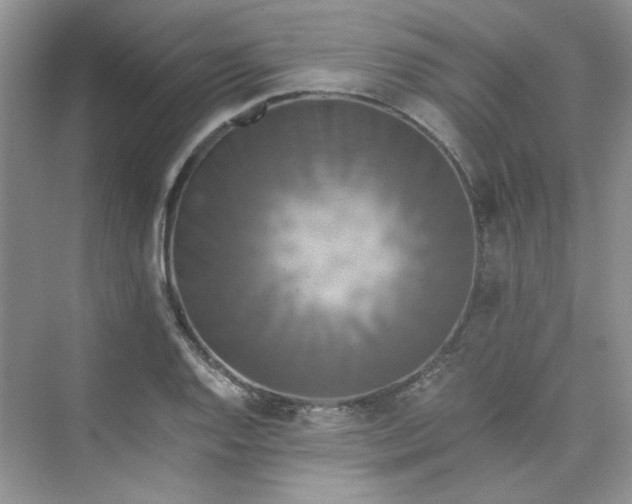 X0000075811128200609291338