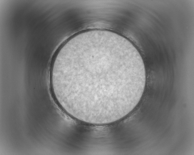 X0000075811130200609291338