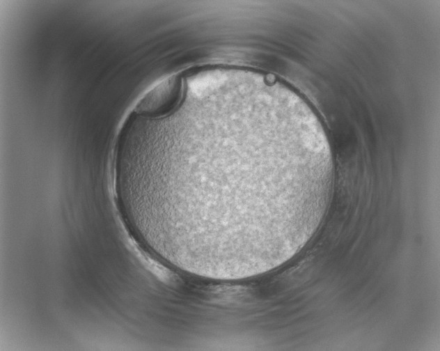 X0000075811131200609291338