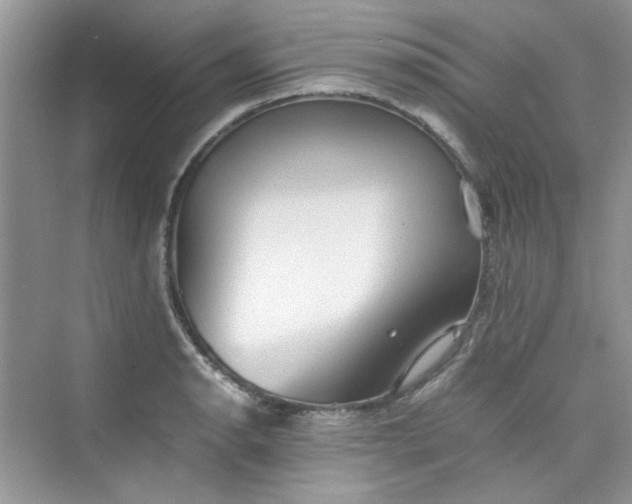 X0000075811134200609291338