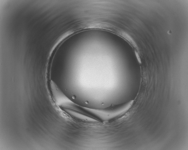 X0000075811138200609291338