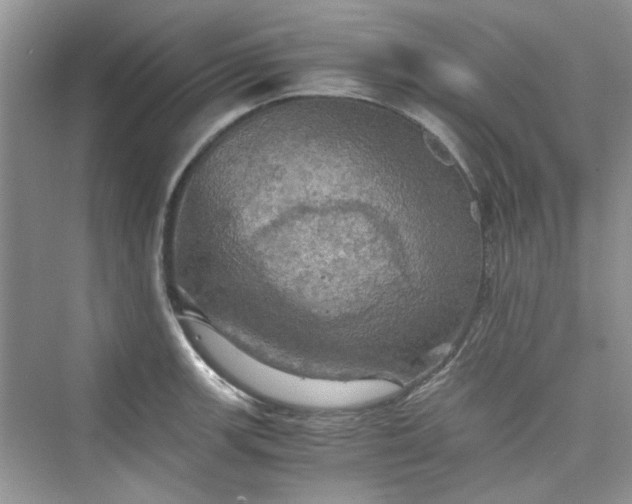 X0000075811139200609291338