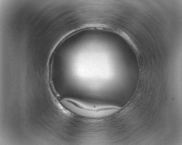 X0000075811140200609291338