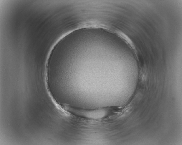 X0000075811144200609291338