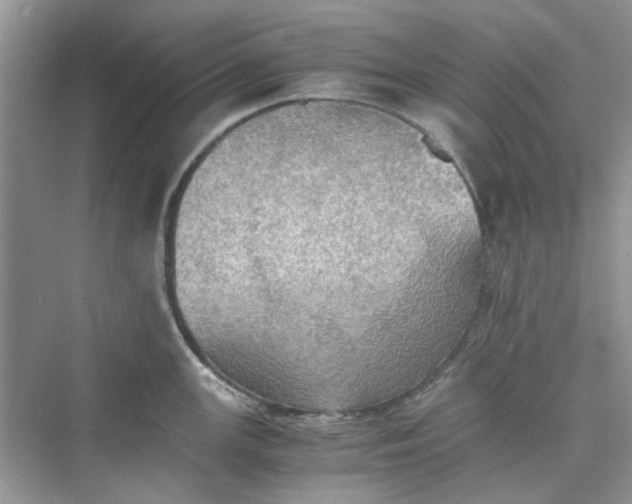 X0000075811147200609291338