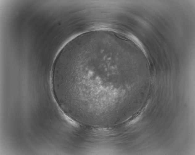 X0000075811149200609291338