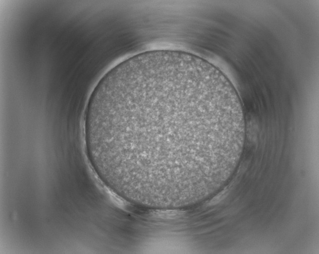 X0000075811150200609291338